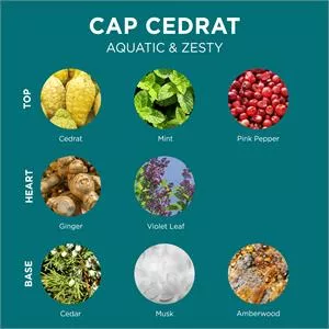 L'Occitane Cap Cedrat Eau de Toilette 75ml